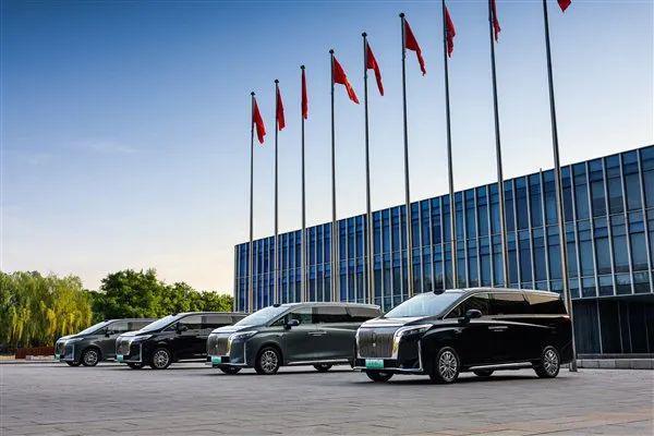 起价3098万！对标埃尔法全新高山行吗？(图3)