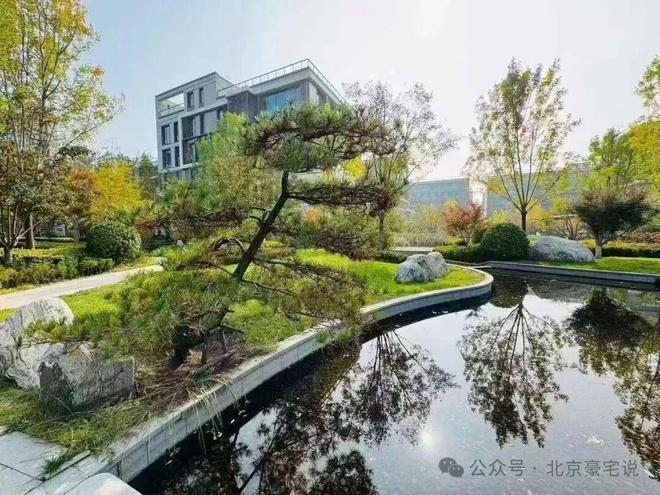 荣耀绽放✅【金禧璞瑅售楼处】金禧璞瑅官方发布丨高阶生活新范本(图1)