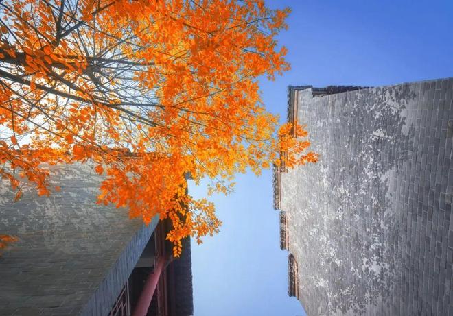 官方江湾金茂府售楼处官方发布：江湾金茂府纯科技豪宅已成绝响(图9)