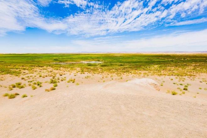 官方江湾金茂府售楼处官方发布：江湾金茂府纯科技豪宅已成绝响(图8)